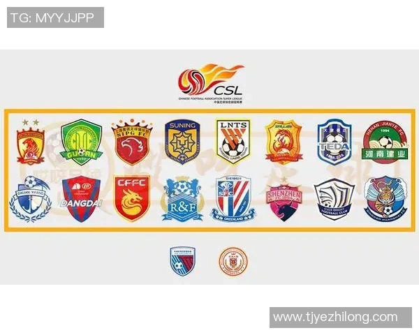 武汉足球队在精英赛中的实力展现与未来发展潜力分析